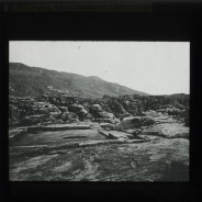 Böhl glass slide 61./1488